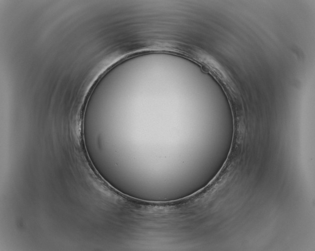 X0000115231284200911131636
