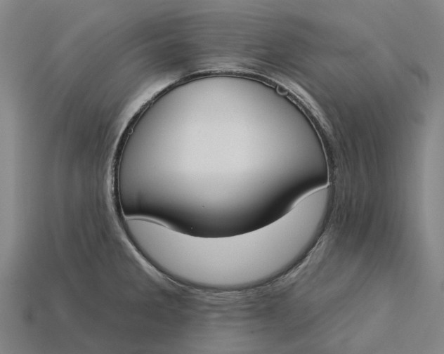 X0000115231285200911131636