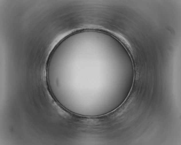 X0000115231287200911131636