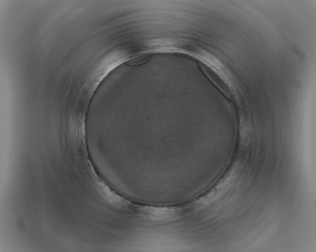 X0000115231289200911131636