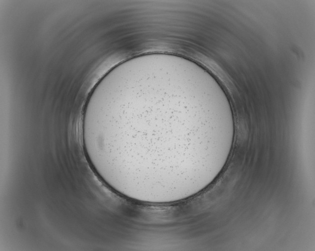 X0000115231290200911131636