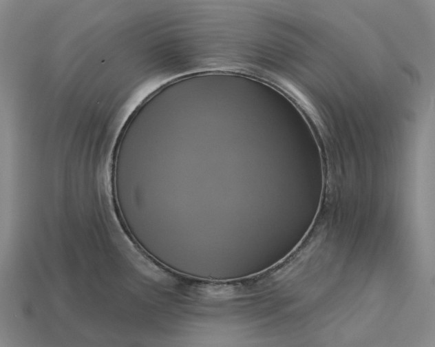 X0000115231291200911131636