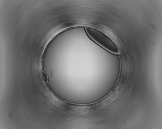 X0000115231292200911131636