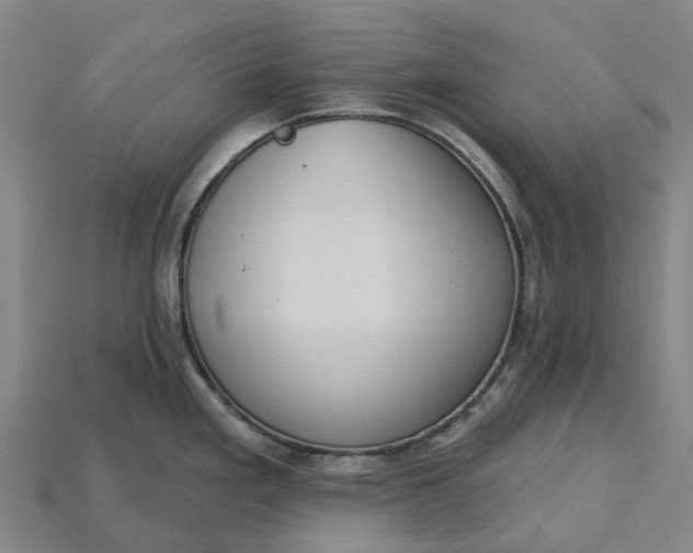 X0000115231293200911131636