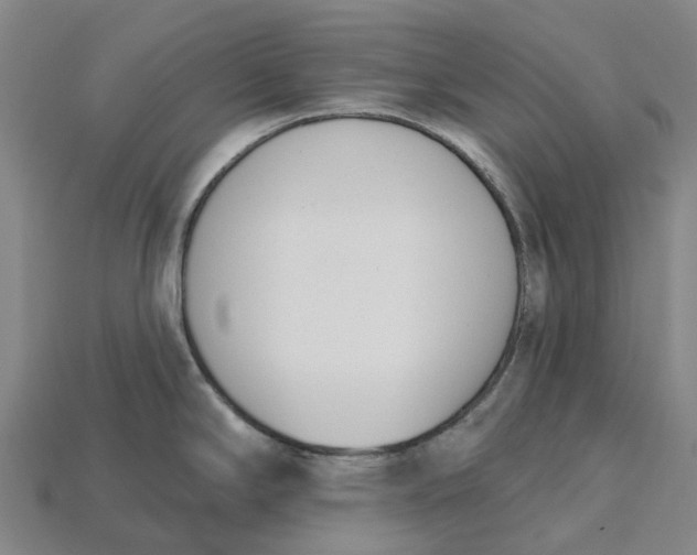 X0000115231294200911131636