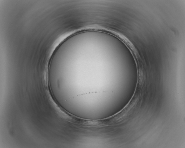 X0000115231295200911131636
