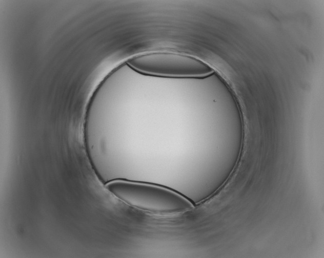 X0000115231296200911131636