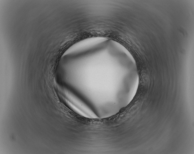 X0000115231297200911131635