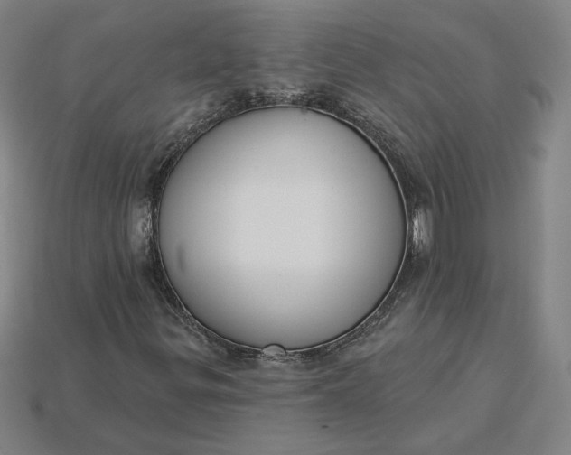 X0000115231299200911131635