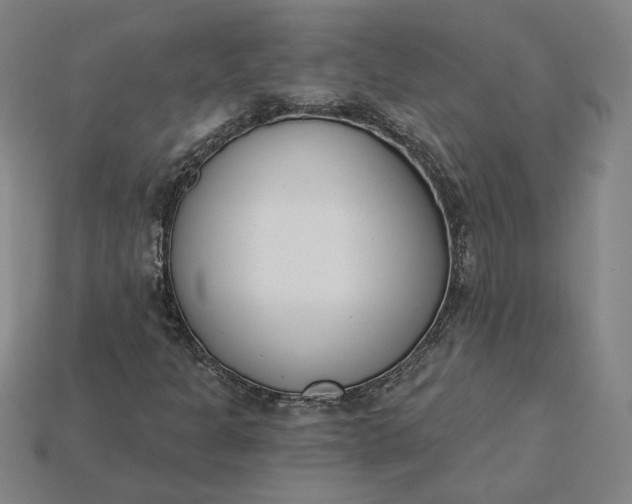 X0000115231301200911131635
