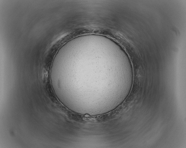 X0000115231302200911131635