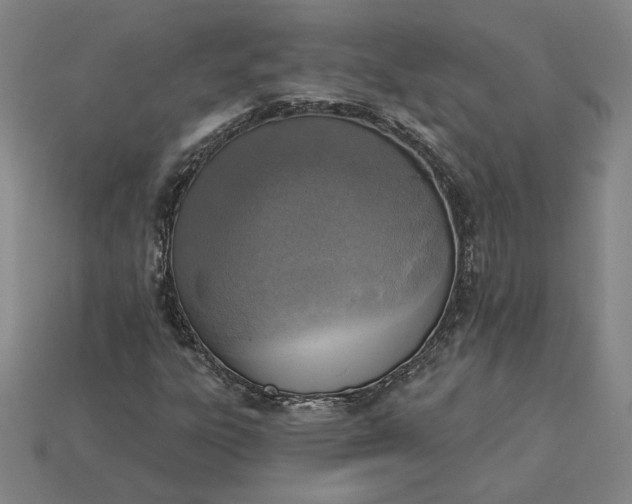 X0000115231303200911131635