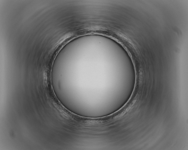 X0000115231305200911131635