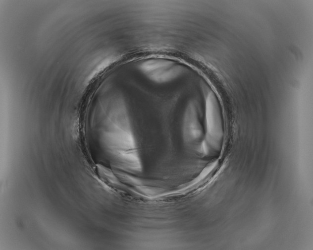 X0000115231306200911131635