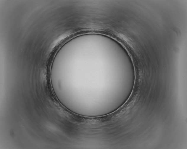 X0000115231307200911131635