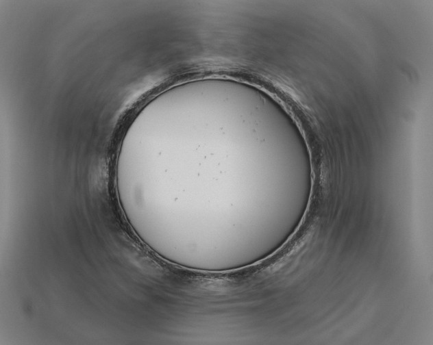 X0000115231309200911131635