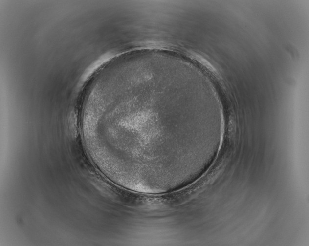 X0000115231310200911131635