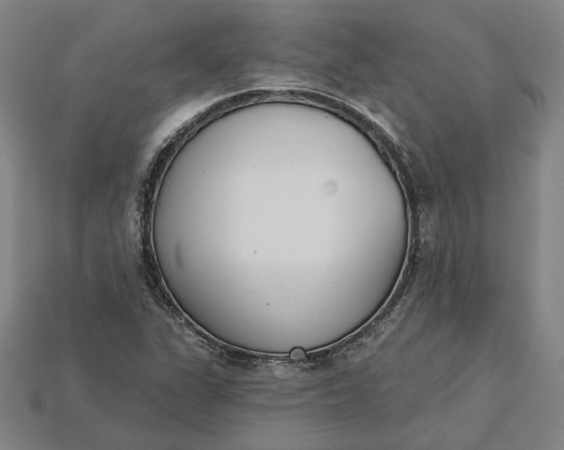 X0000115231311200911131635