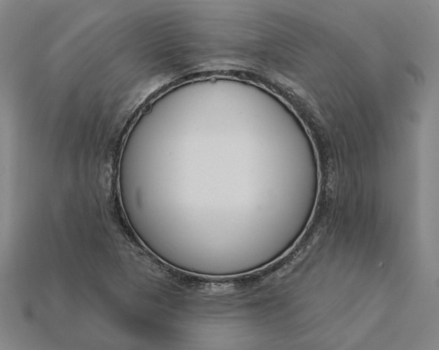 X0000115231313200911131635