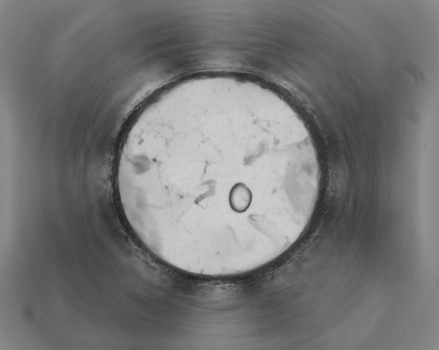 X0000115231314200911131635