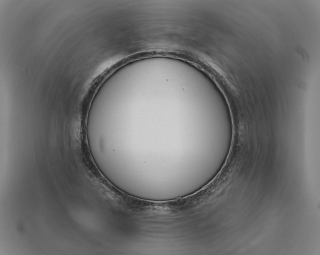 X0000115231315200911131635