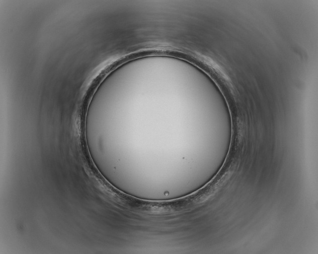 X0000115231318200911131635