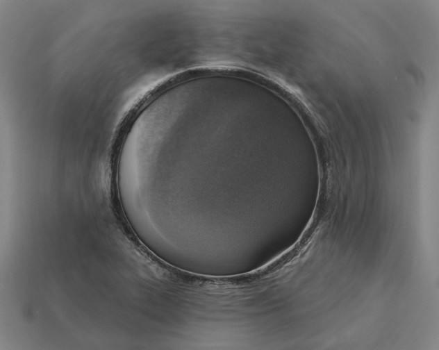 X0000115231319200911131635