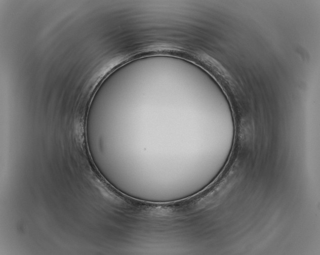 X0000115231321200911131635
