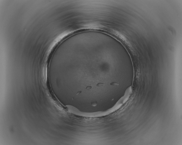 X0000115231323200911131636