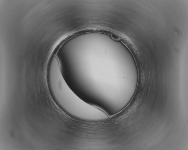X0000115231326200911131636