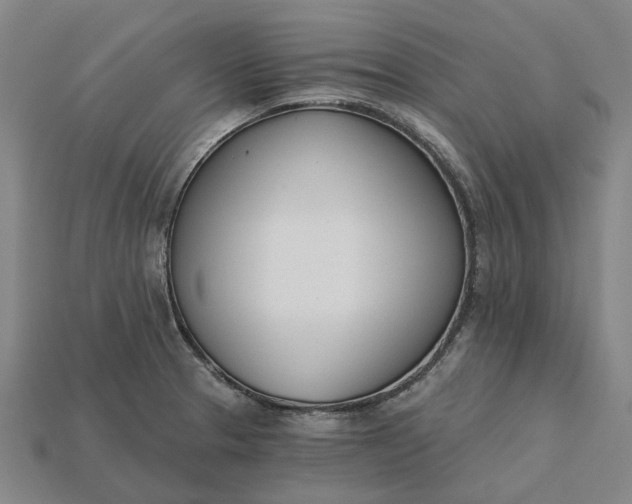 X0000115231329200911131636