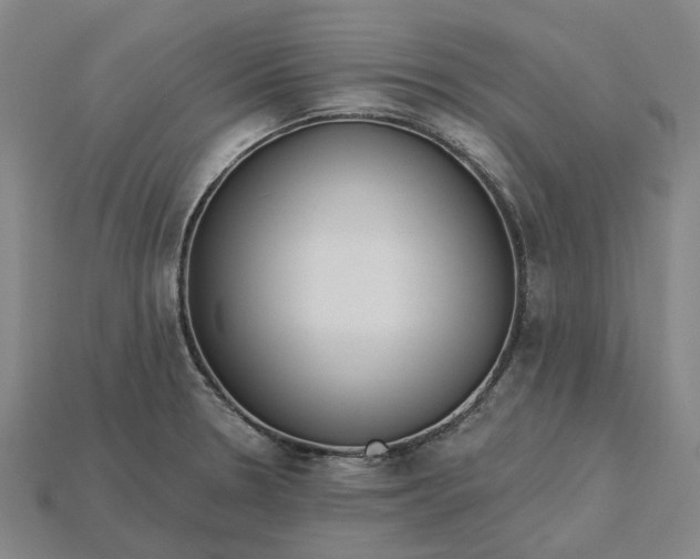 X0000115231330200911131636