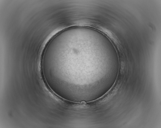 X0000115231331200911131636