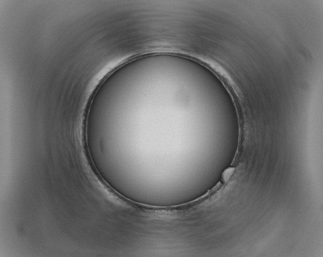 X0000115231333200911131636