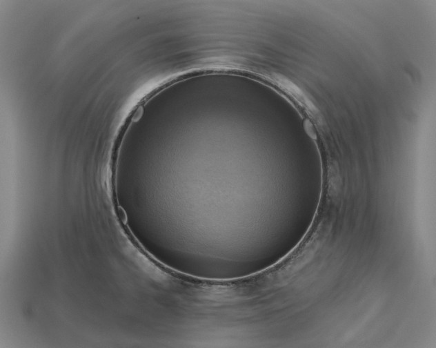 X0000115231334200911131636