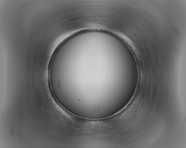 X0000115231335200911131636