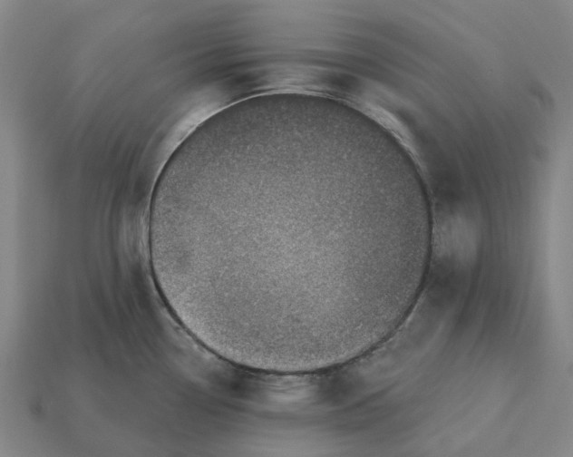 X0000115231338200911131636