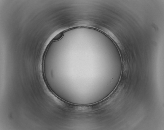 X0000115231339200911131636