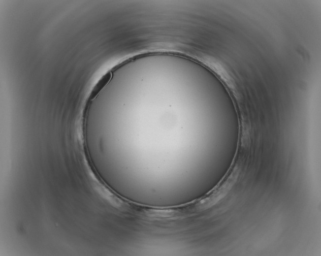 X0000115231342200911131636