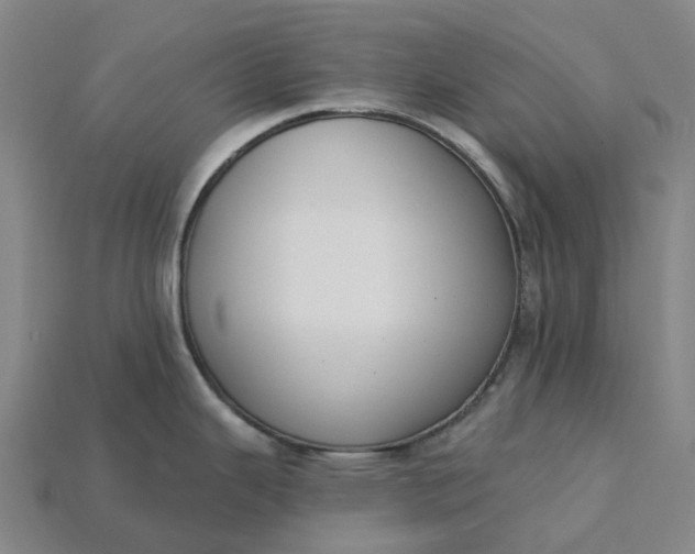 X0000115231343200911131636