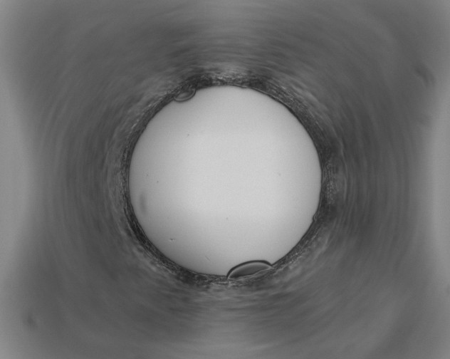 X0000115231345200911131635