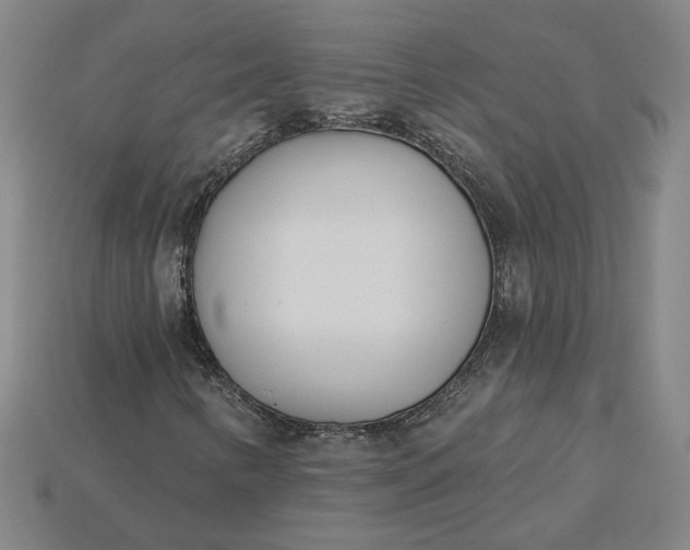 X0000115231346200911131635