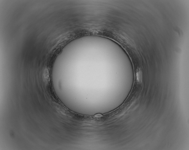 X0000115231347200911131635