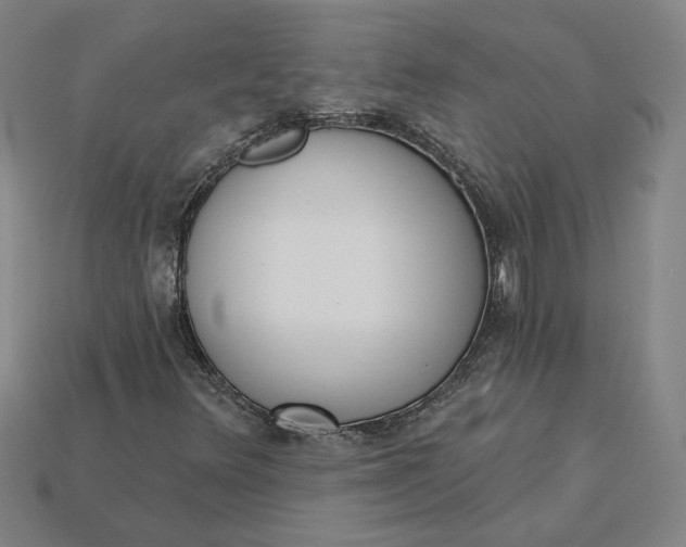 X0000115231348200911131635