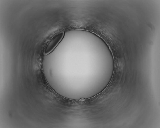 X0000115231349200911131635