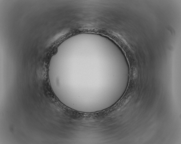 X0000115231350200911131635