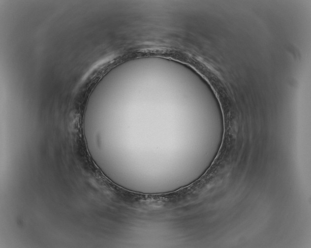 X0000115231351200911131635