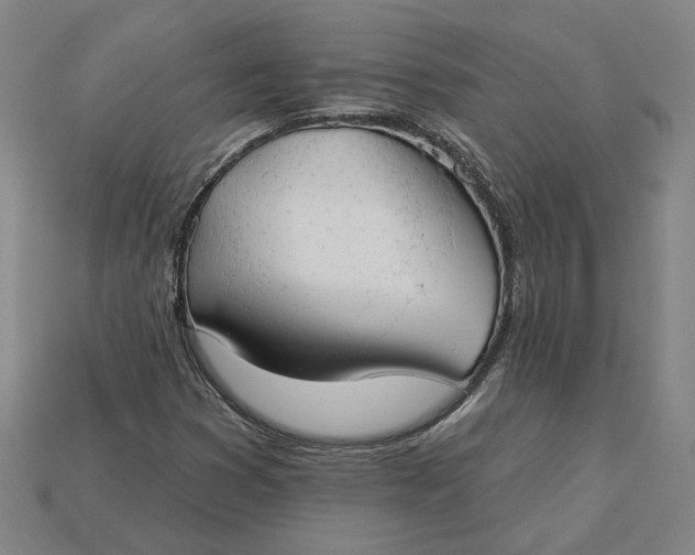 X0000115231353200911131635
