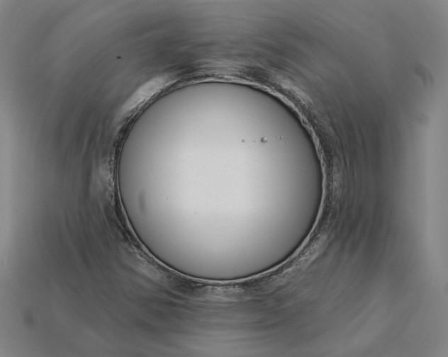 X0000115231354200911131635