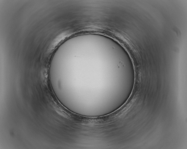 X0000115231355200911131635